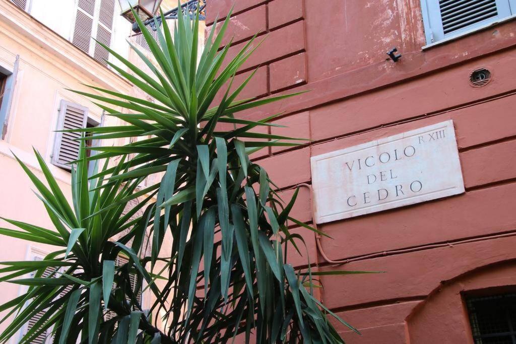 Appartamento Cedro Roma